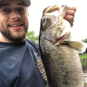 Meet your Posher, Jake